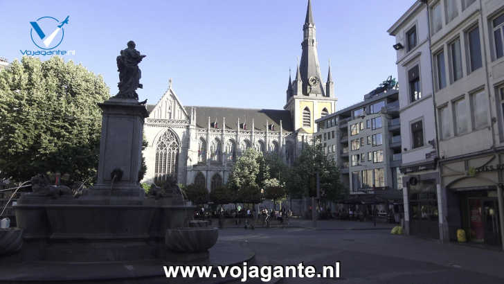 Fontaine de la Vierge en Sint-Pauluskathedraal