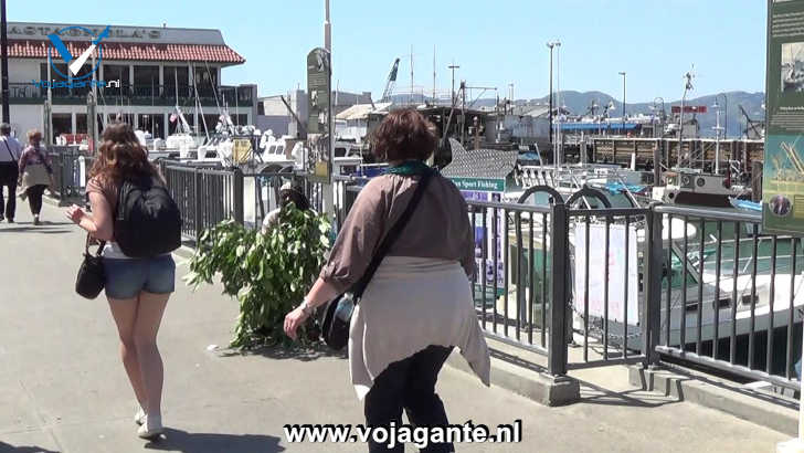 De Bush Man, een bekende bezienswaardigheid in Fisherman's Wharf, San Francisco